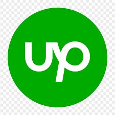Upwork Enterprise Client
